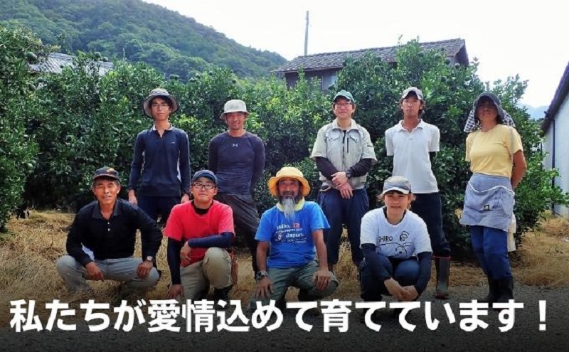 【2026年 先行予約】みどり認定 ハウス栽培グリーンレモン 約2.3kg 国産レモン 香川 果物類／柑橘類／みかん レモン　 