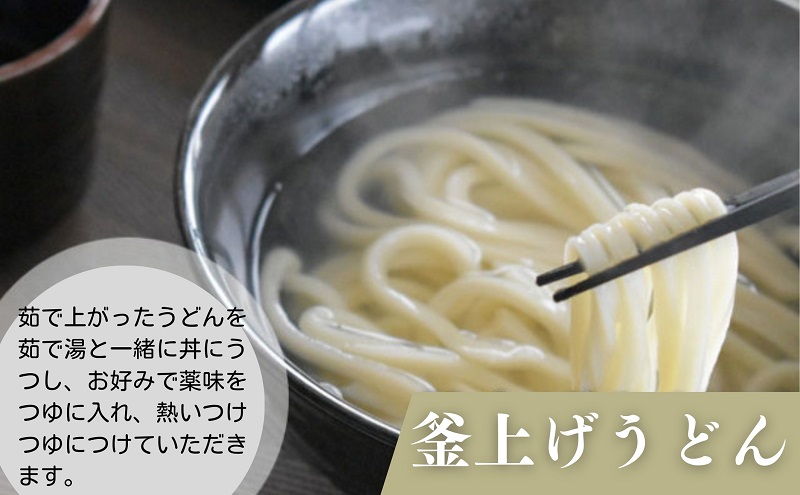 さぬきうどん半生（つゆパック付）（30人前） 讃岐うどん 半生 つゆ だし 麺 のどごし 製麺所 紀州屋 香川 観音寺