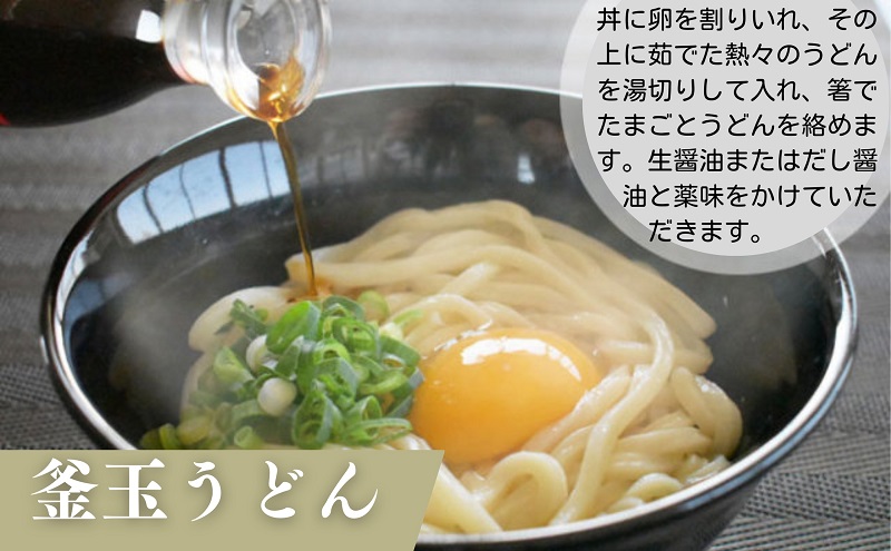 さぬきうどん半生（つゆパック付）（30人前） 讃岐うどん 半生 つゆ だし 麺 のどごし 製麺所 紀州屋 香川 観音寺