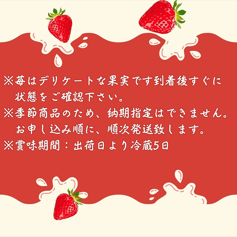 【2月より発送開始】いちご「さぬきひめ」約2kg　【配送不可エリア】北海道、沖縄県、離島エリア 果物類／いちご／苺／イチゴ／フルーツ　 