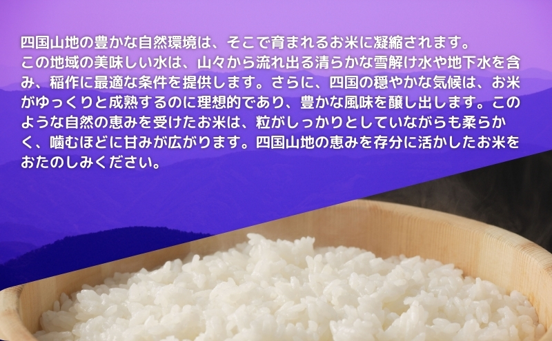 【令和7年産】　香川のお米 おいでまい 10kg お米 精米