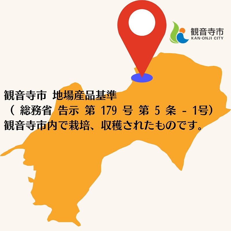 八朔　約10kg 果物類 みかん 柑橘類 フルーツ 