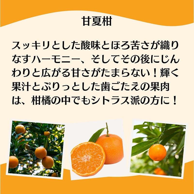 逕伜、 譟 邏10kg 譫懃黄鬘 譟第ゥ倬。 繝輔Ν繝シ繝 縺ソ縺九s