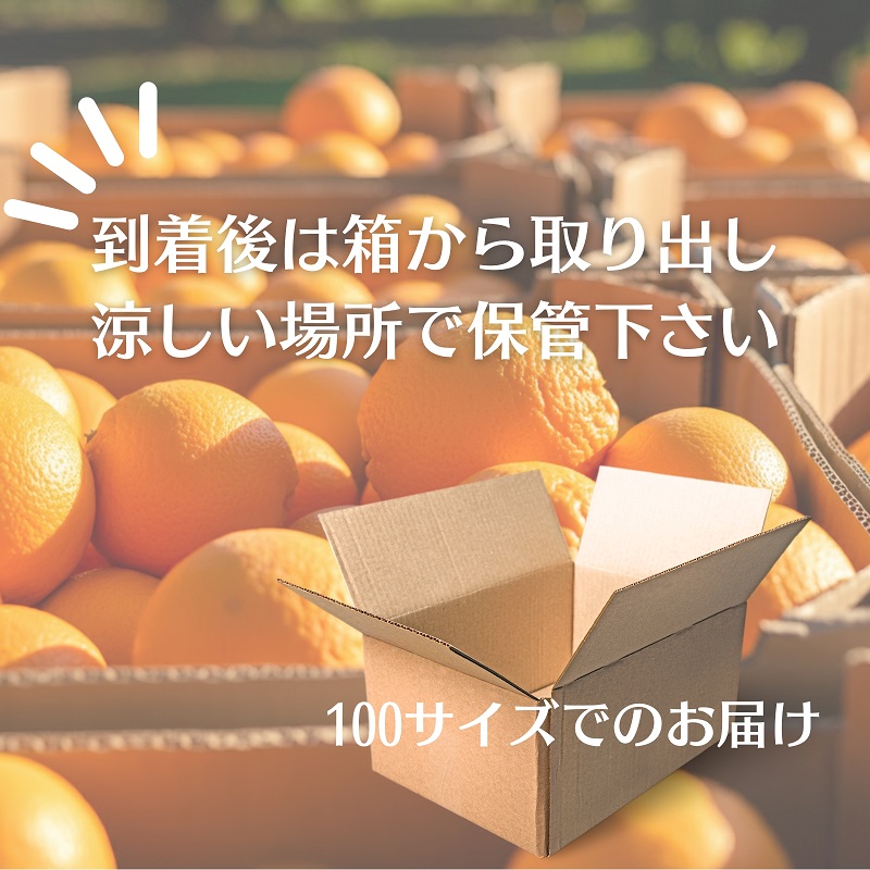 逕伜、 譟 邏10kg 譫懃黄鬘 譟第ゥ倬。 繝輔Ν繝シ繝 縺ソ縺九s