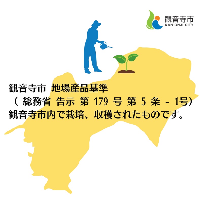 逕伜、 譟 邏10kg 譫懃黄鬘 譟第ゥ倬。 繝輔Ν繝シ繝 縺ソ縺九s