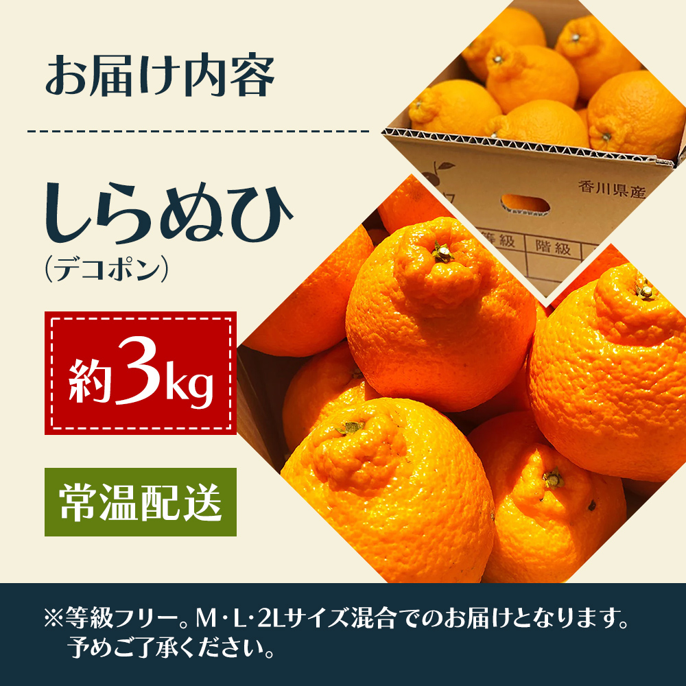 2026蟷エ蜈郁。御コ育エ 蜻ウ閾ェ諷「シ∬ョ蟯 縺励i縺ャ縺イ縲邏3kg 譫懃黄鬘 縺ソ縺九s 譟第ゥ倬。 繝繧ウ繝昴Φ縲