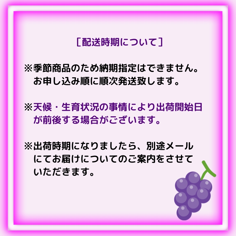 大粒 ピオーネ 約1.5kg ぶどう  フルーツ 果物 