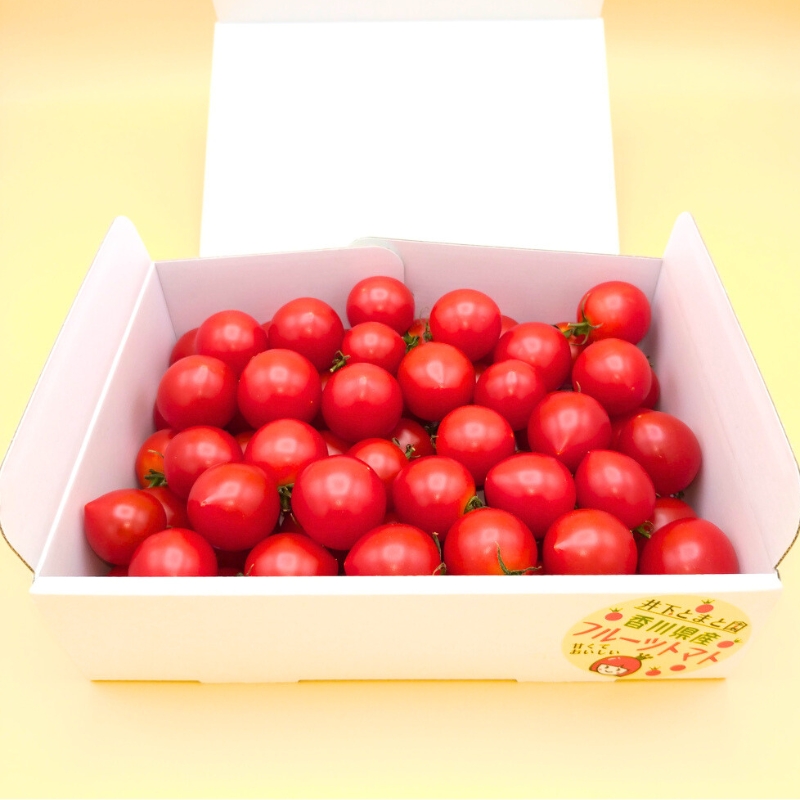 井下とまと園の完熟 フルーツトマト 約2kg 果物類 野菜 