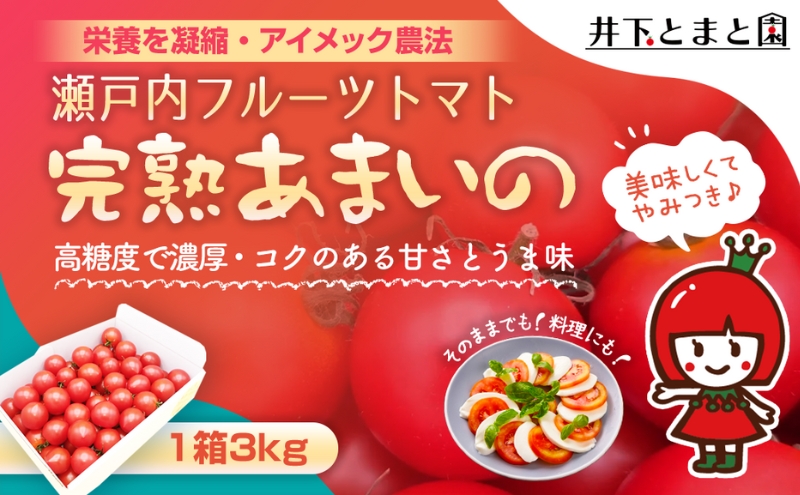 井下とまと園の完熟 フルーツトマト 約3kg 果物類 野菜