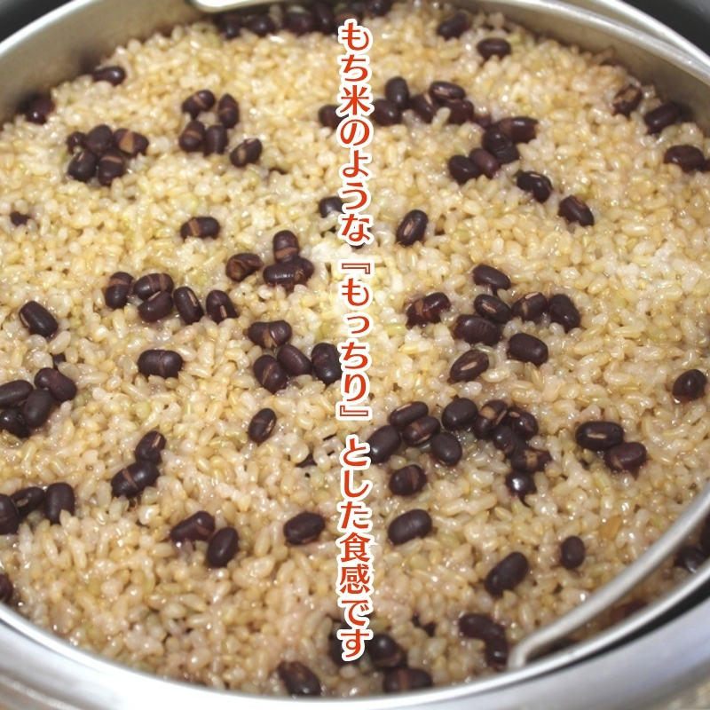 長岡式・冷凍・酵素玄米ごはん 125g×24個セット  玄米 ごはん ご飯 セット 冷凍