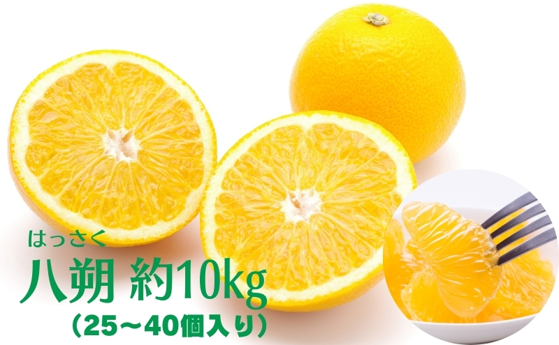 八朔　約10kg 果物類 みかん 柑橘類 フルーツ