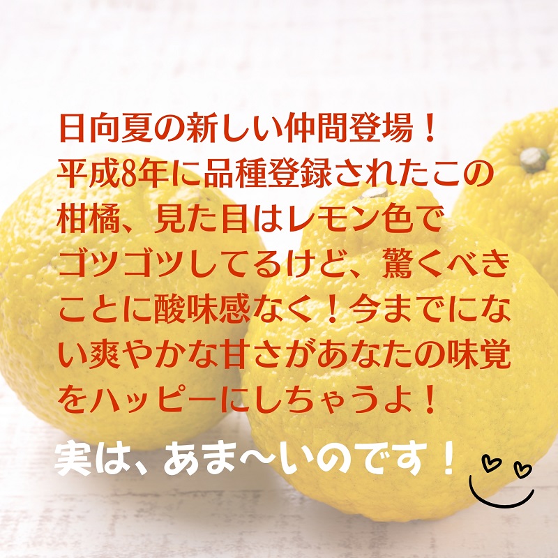 縺輔o繧縺九↑逕倥&縲後ッ繧九°縲咲エ5kg 譫懃黄鬘 譟第ゥ倬。 繝輔Ν繝シ繝 縺ソ縺九s