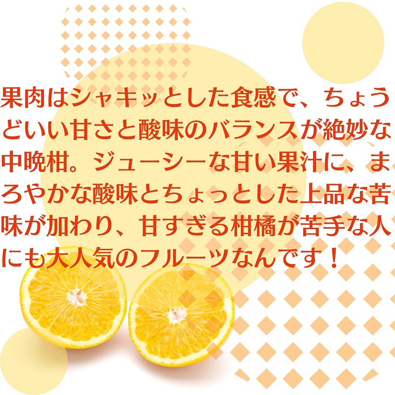 八朔　約10kg 果物類 みかん 柑橘類 フルーツ 