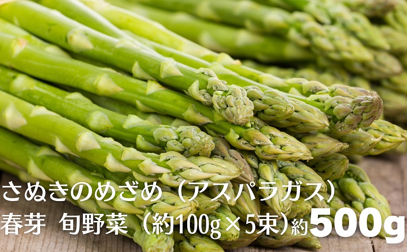 さぬきのめざめ（アスパラガス）春芽 旬野菜 約500g（約100g×5束） 野菜セット