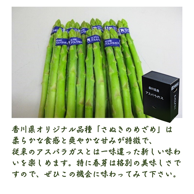 さぬきのめざめ（アスパラガス）春芽  約500g（約100g×5束） 野菜セット 旬野菜