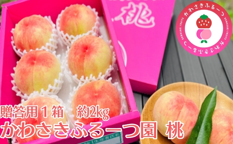 かわさきふるーつ園直送 桃 贈答用1箱　約2kg