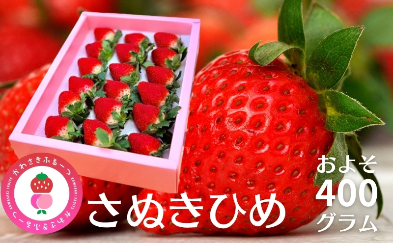 かわさきふるーつ園 直送 さぬきひめ 苺 約400g