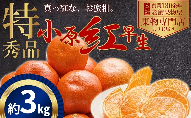 極撰！真っ赤なみかんの小原紅早生 約3kg 果物 フルーツ 柑橘 デザート おやつ 食後 国産 日本産 産地直送 香川オリジナル品種 食べ物