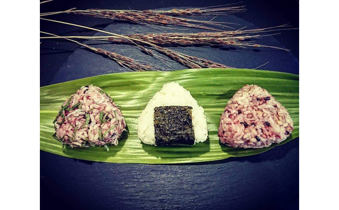 自然玄米4点セット お米 