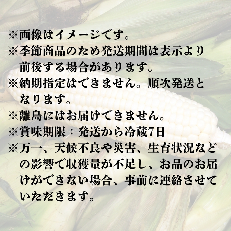 繝帙Ρ繧、繝医さ繝シ繝ウ 邏2.5kg