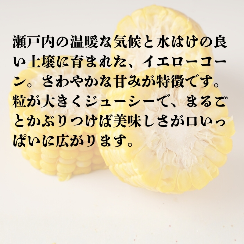 イエローコーン 約3kg