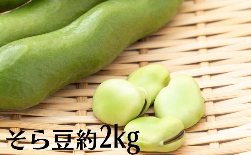 そら豆 約2kg