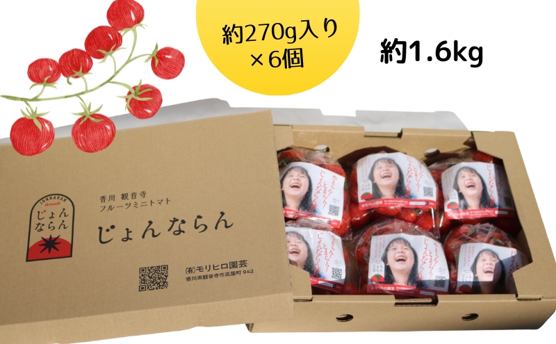 モリヒロ園芸が育てたじょんならんトマトの定期便A　約270g×6個入り（年間11回） 野菜 ミニトマト 甘い フルーツ サラダ 