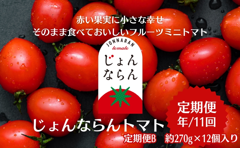 モリヒロ園芸が育てたじょんならんトマトの定期便B　約270g×12個入り（年間11回） 野菜 ミニトマト 甘い フルーツ サラダ 