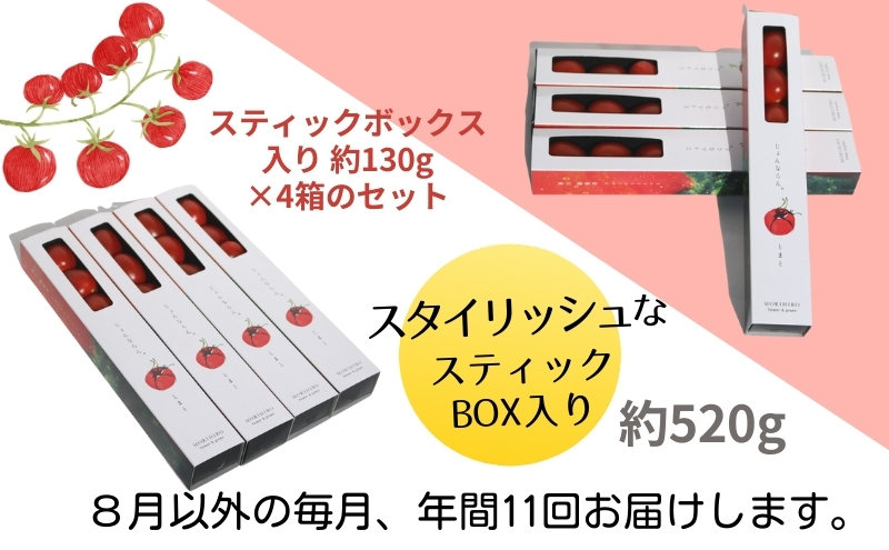 モリヒロ園芸が育てたじょんならんトマトの定期便D　スティックボックス入り（年間11回） 野菜 ミニトマト 甘い フルーツ サラダ 
