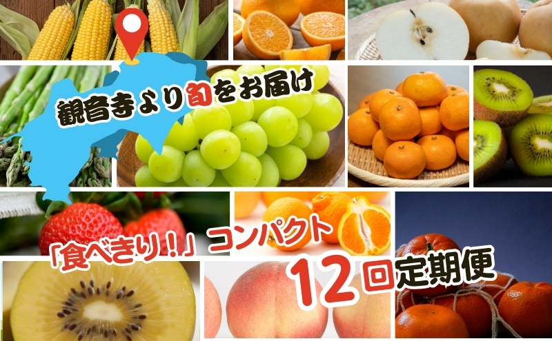 【2026年受付】ご家庭用 食べきり 旬菜旬果フルーツ定期便 全12回 