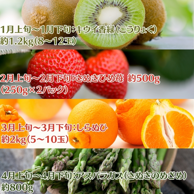 【2026年受付】ご家庭用 食べきり 旬菜旬果フルーツ定期便 全12回 