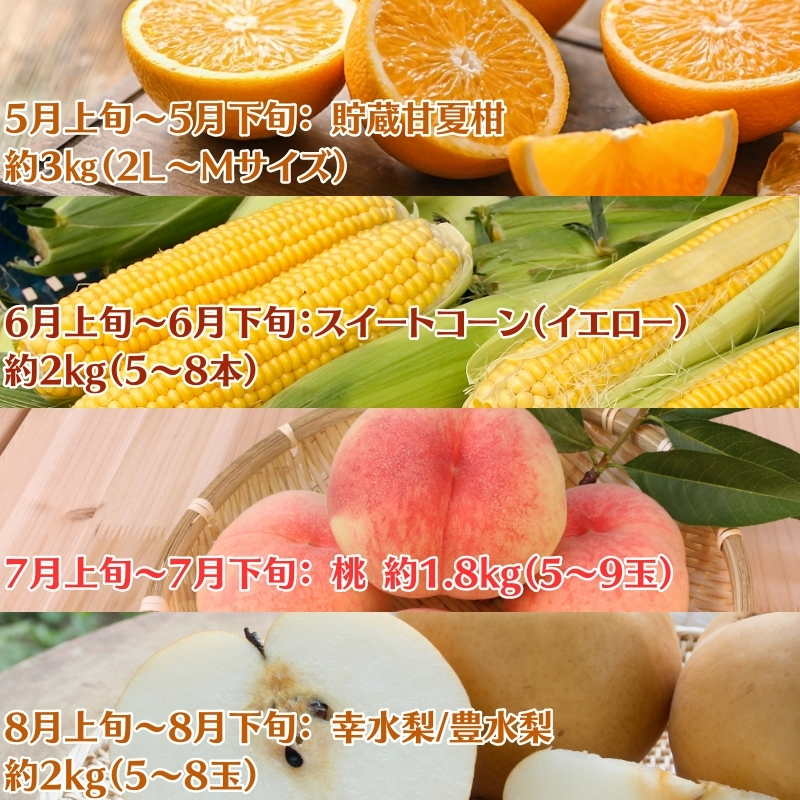 【2026年受付】ご家庭用 食べきり 旬菜旬果フルーツ定期便 全12回 