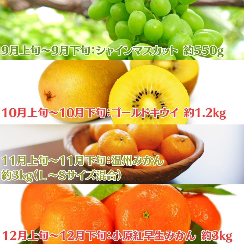 【2026年受付】ご家庭用 食べきり 旬菜旬果フルーツ定期便 全12回 