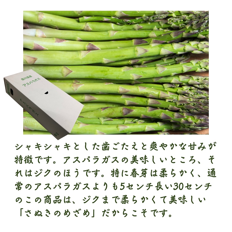 香川県オリジナルアスパラガス「さぬきのめざめロング」(春芽)約1kg 野菜 野菜セット 