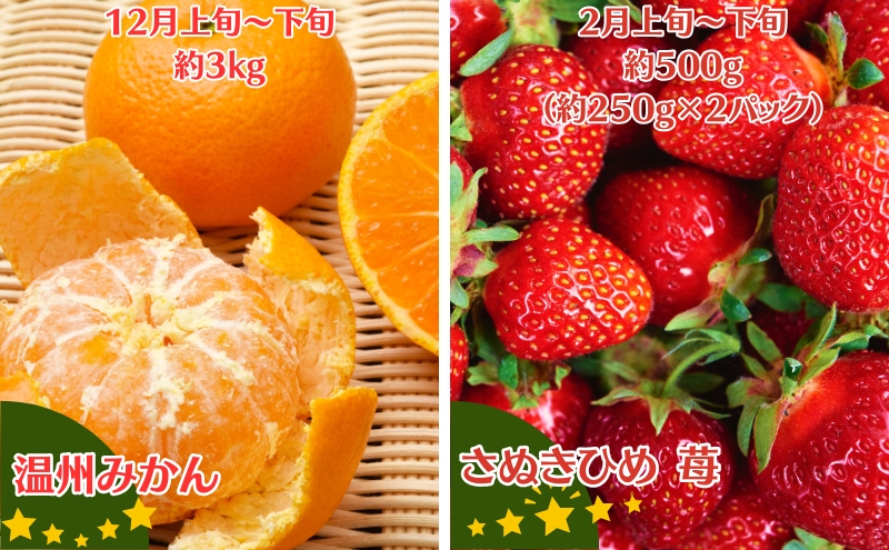 【2026年受付】ご家庭用 食べきり 旬果フルーツ定期便 全4回 