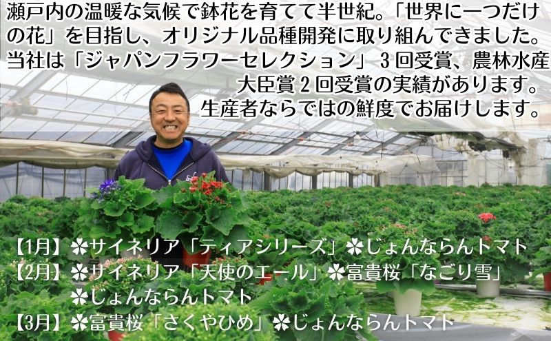 モリヒロ園芸が育てたお花とトマトの12ヶ月定期便 植物 野菜 ミニトマト 