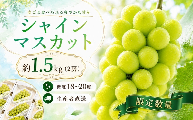 数量限定 モリヒロ園芸が育てたシャインマスカット 約1.5kg（2房） フルーツ ぶどう