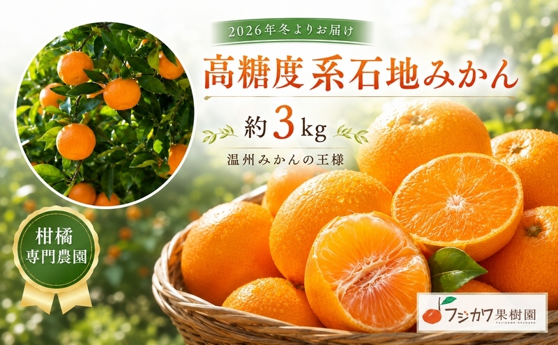 2026年冬よりお届け 高糖度系石地みかん 約3kg 柑橘類 フルーツ 果物 ミカン