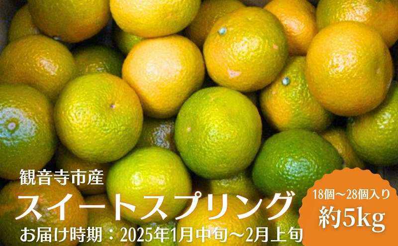 スイートスプリング 約5kg 果物類 みかん 柑橘類 フルーツ　