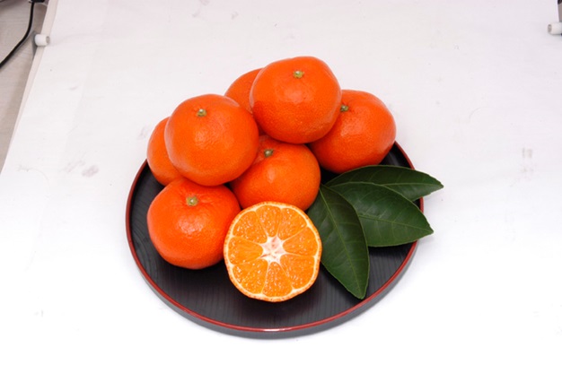 香川県オリジナル品種 小原紅早生 みかん 約5kg 果物類 みかん 柑橘類 フルーツ ミカン くだもの