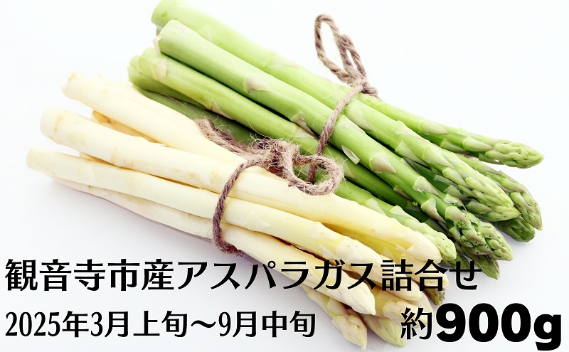 観音寺市産アスパラガス詰合せ 約900g 野菜