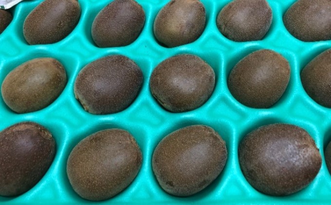 香川県オリジナルキウイ「さぬきエンジェルスイート」約2.4kg  果実 甘い 讃岐 くだもの ジューシー フルーツ 果物詰合せ