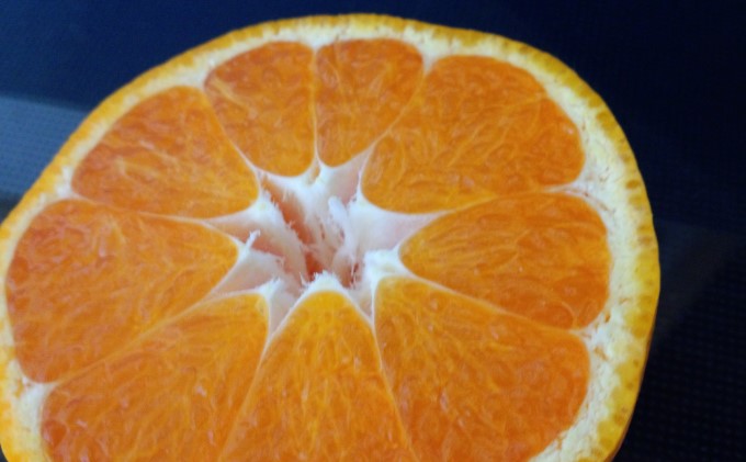 石地大玉くん　約10kg 果物類 柑橘類 柑橘 みかん ミカン フルーツ