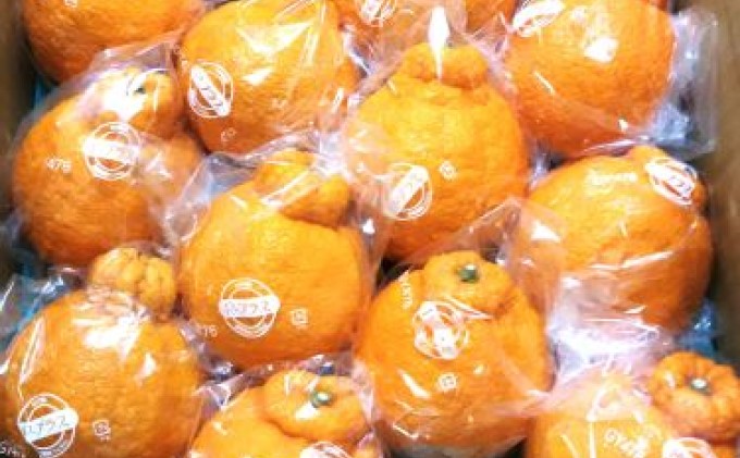 低温貯蔵ハウス不知火　約5kg 果物類 柑橘類 柑橘 フルーツ みかん ミカン