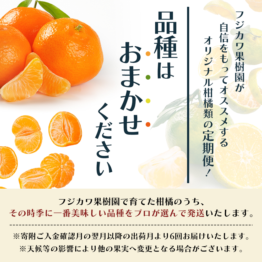 【6回 頒布会】みかん 定期便 6回 フルーツ フジカワ果樹園オリジナル（新季節の柑橘セット） 果物 