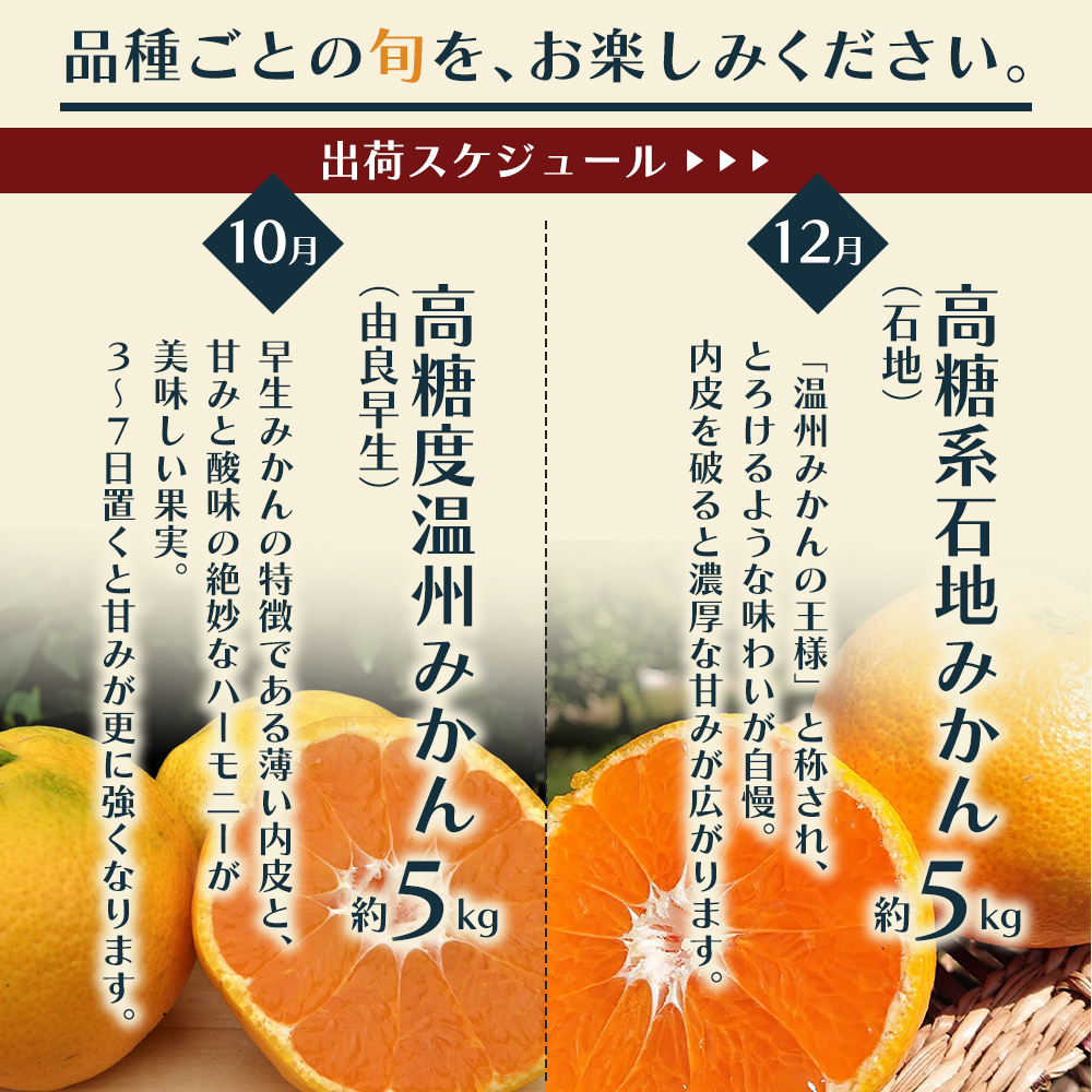 【6回 頒布会】みかん 定期便 6回 フルーツ フジカワ果樹園オリジナル（新季節の柑橘セット） 果物 