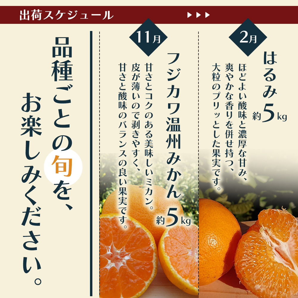 みかん 定期便 5回 フルーツ フジカワ果樹園オリジナル（新季節の柑橘セット） 果物 温州みかん はるみ 讃岐しらぬひ セミノール 甘夏柑 柑橘類 5ヶ月 