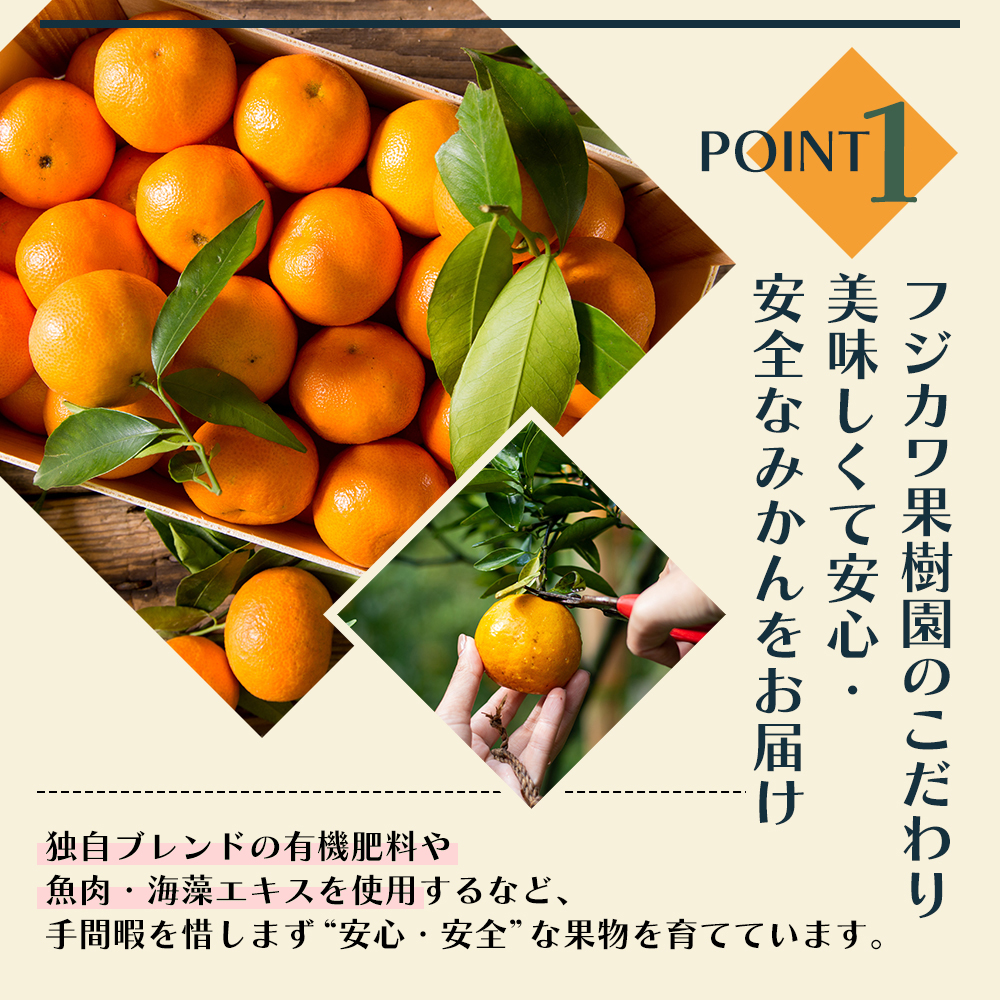 みかん 定期便 5回 フルーツ フジカワ果樹園オリジナル（新季節の柑橘セット） 果物 温州みかん はるみ 讃岐しらぬひ セミノール 甘夏柑 柑橘類 5ヶ月 