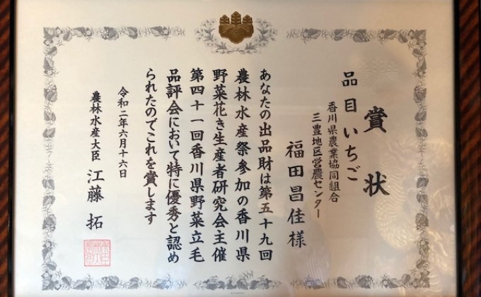 福田さんちのイチゴ(さぬきひめ) 3Lサイズ 400g以上 ギフトボックス１箱【配送不可：北海道・沖縄県・離島エリア】苺 農園直送 いちご採れたて直送 果物類 