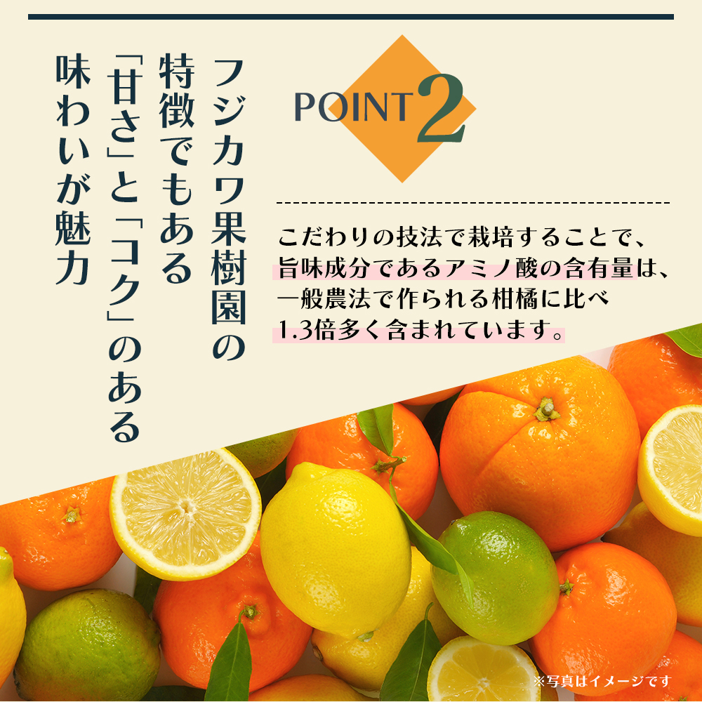 みかん 定期便 5回 フルーツ フジカワ果樹園オリジナル（新季節の柑橘セット） 果物 温州みかん はるみ 讃岐しらぬひ セミノール 甘夏柑 柑橘類 5ヶ月 